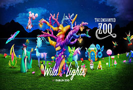 'Wild Lights Dublin Zoo'