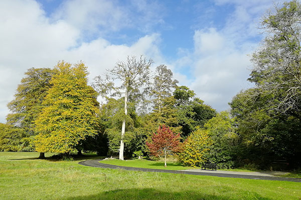 'Belvedere House, Gardens & Park'