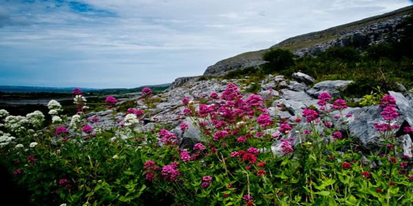 'Cliffs of Moher'