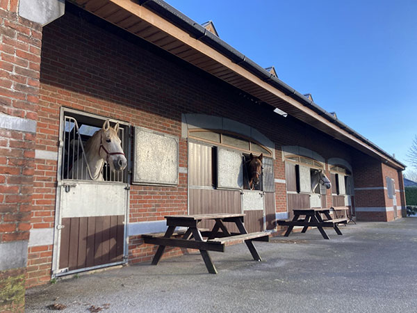 'Killarney Riding Stables'