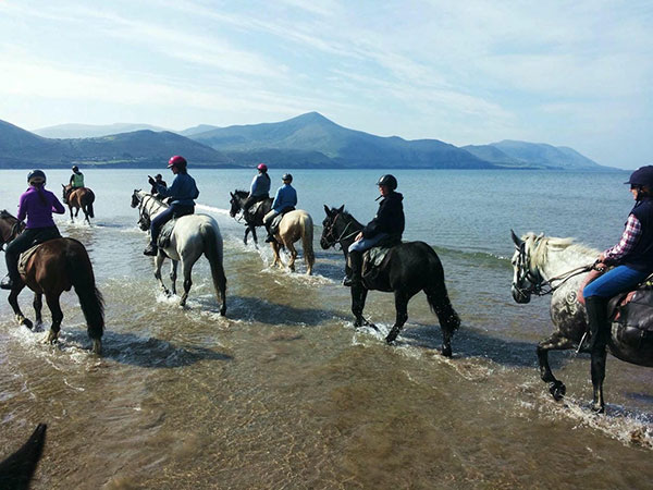 'Killarney Riding Stables'