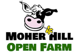 Clare – Moher Hill Open Farm and Leisure Park