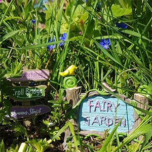 "moher hill farm fairy garden"
