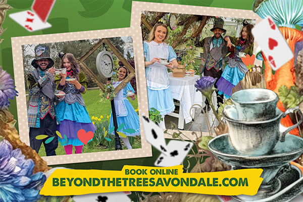 "beyond the trees alice in woodland"