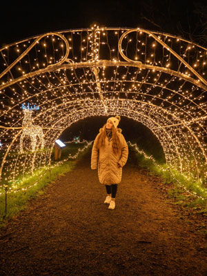 "Adventure lights in carlingford"