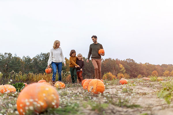 "halloween family hero at johnstown estate"
